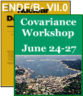 Covariance Workshop 2008